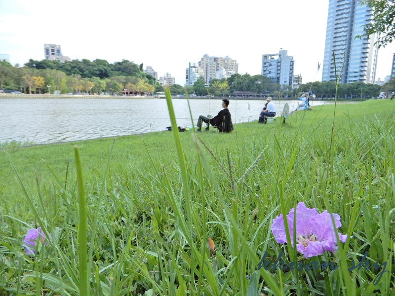 碧湖公園