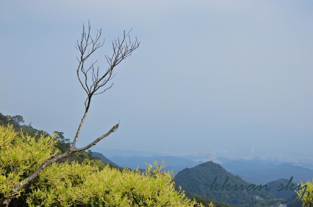 碧山露營場